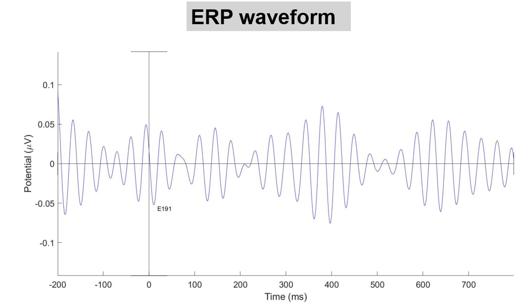 EEG Project Gallery | Ananya Anower